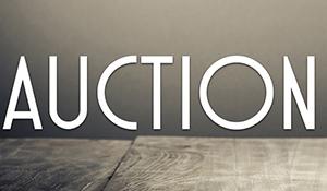 AUCTION ROOM - Ford vs Holden