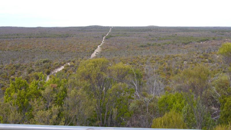 Trekking The Vic Sa Border Track Just Cars
